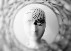 Inicio Close-up black and white image of a phrenology head with brain sections labeled.
